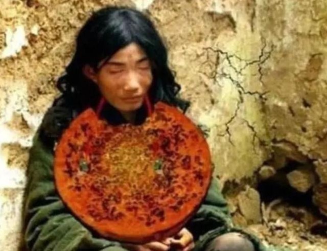 杨继春|“天下第一懒人”杨锁:吃饭全靠喂,刨坑上厕所,23岁懒死家中