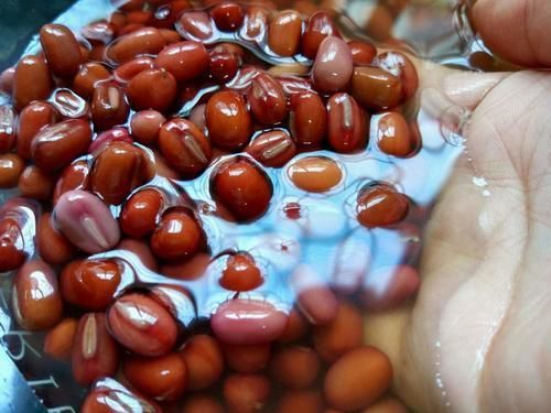 蜜红豆|天气冷了,少吃水果多吃它,一次煮好放冰箱,随吃随拿,特别省事!