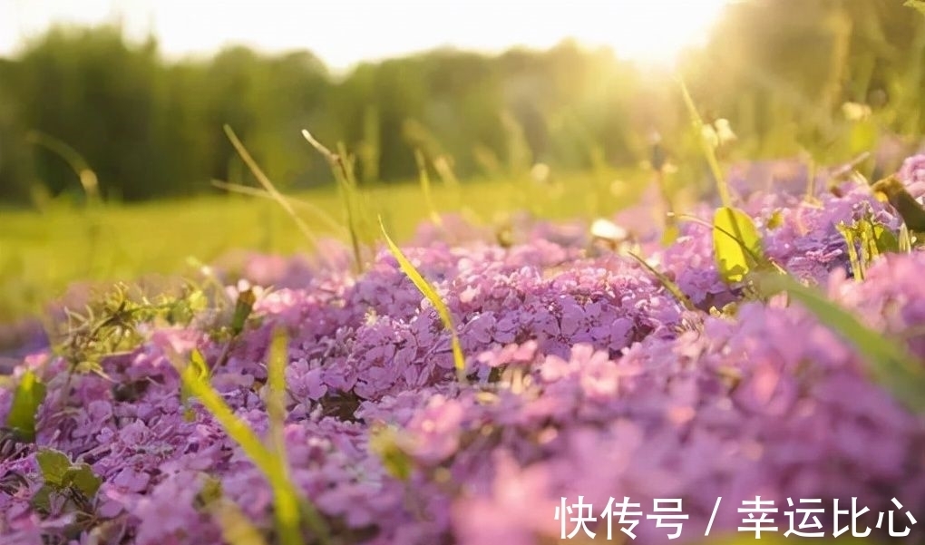 碎片化&书单|最近读过的5本好书,每本都能让你变更好