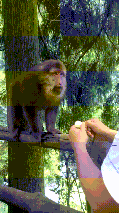 |搞笑GIF:撩妹有风险 搭讪需谨慎