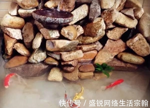 防水|老公在阳台做了个鱼池, 发到业主群里, 楼下直接找上门了!