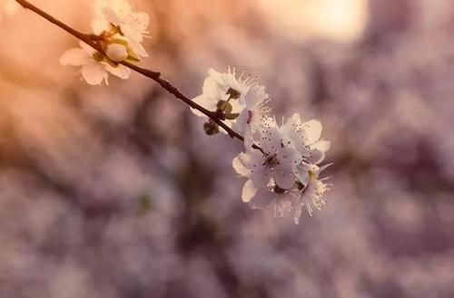 为什么要说“春捂秋冻”?