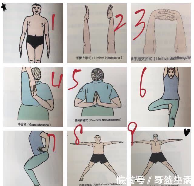 根基|让我用群里朋友的亲身经历告诉你:基础的重要性!练后弯之前必看