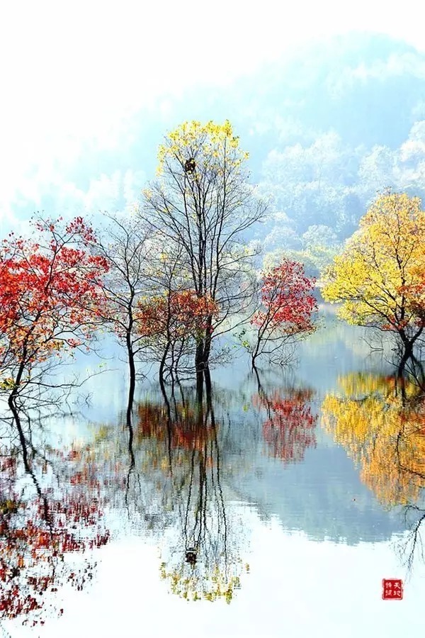 满园春色宫墙柳$意境最美的10首古诗词,陶醉其中