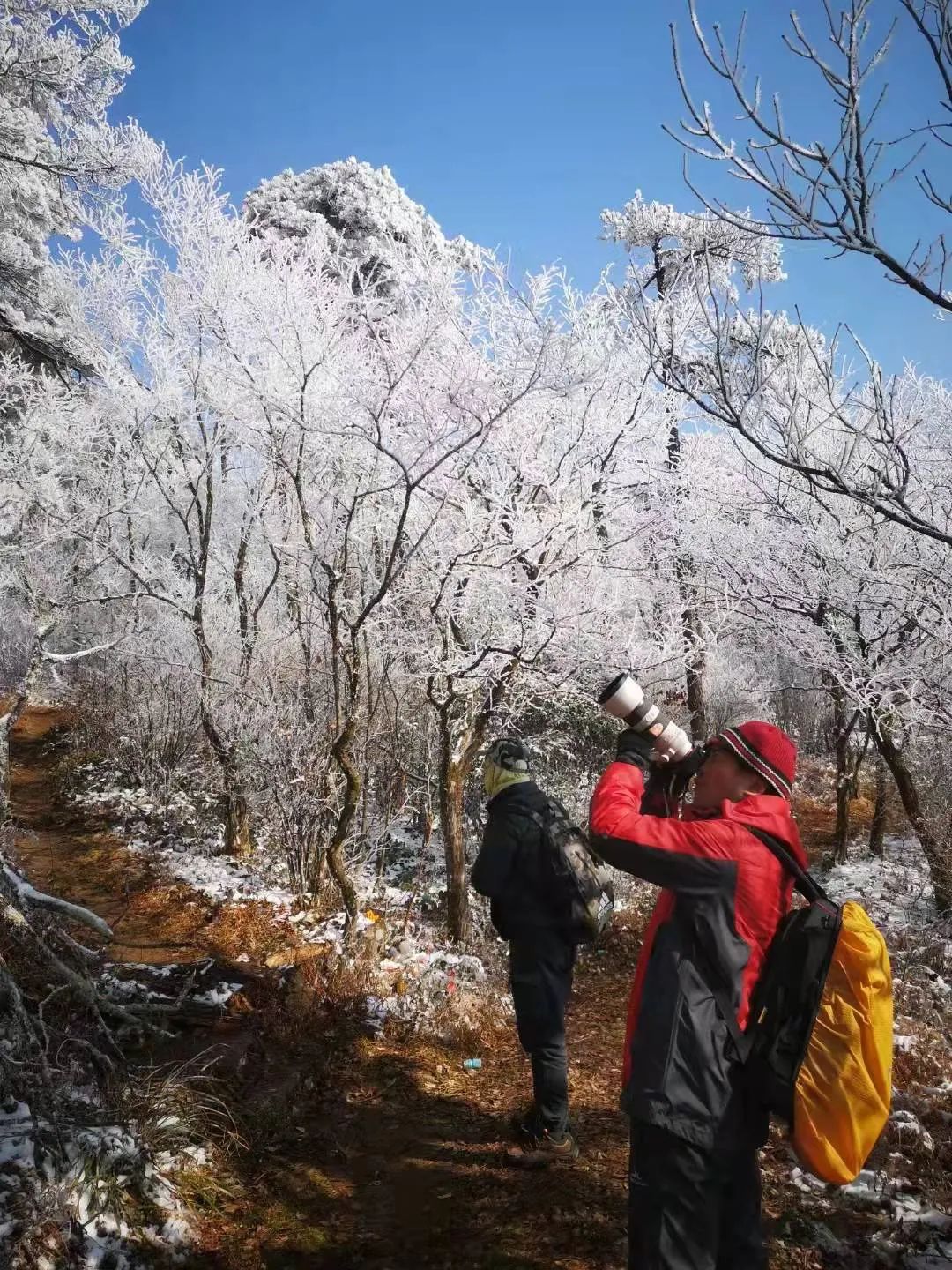 美景|华顶迎今年首场雾凇！天台山美景刷爆朋友圈！