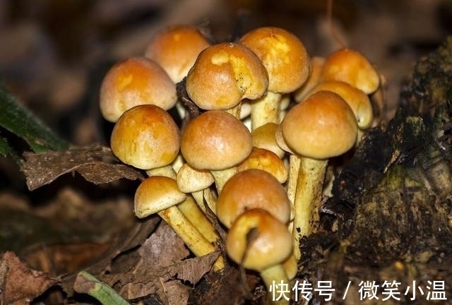 格局|未来一周运势火力全开，事业格局大顺，终于要翻身