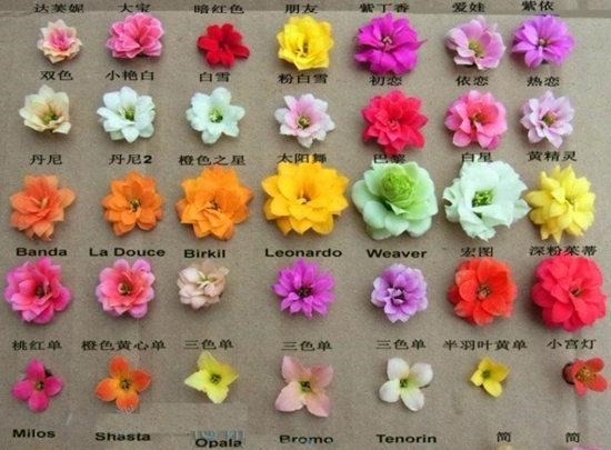 75个长寿花品种，一个比一个美，一起来认识一下吧！