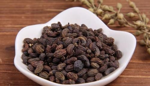 中药|默默带你认识一味中药——女贞子!食疗小方分享给大家,建议收藏