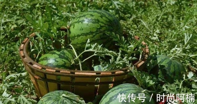 摸秋|立秋了，再忙也别忘了“做3事，吃5样”应对时节，顺利过秋天