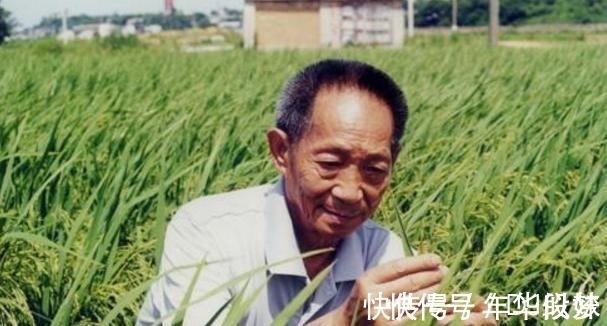 西南农学院!袁隆平书法他的书法质朴厚道,风骨遒劲透露书卷气