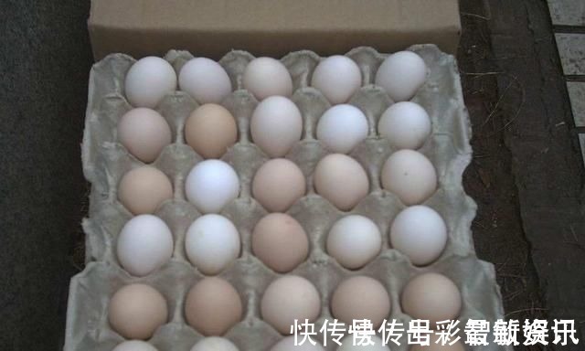 土鸡蛋|辟谣土鸡蛋营养价值更高其实,只是变着法子掏空你的钱包