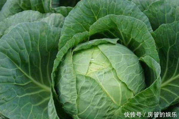 4种食物，是胃病的“对头”，每周换着吃，胃1天比1天好