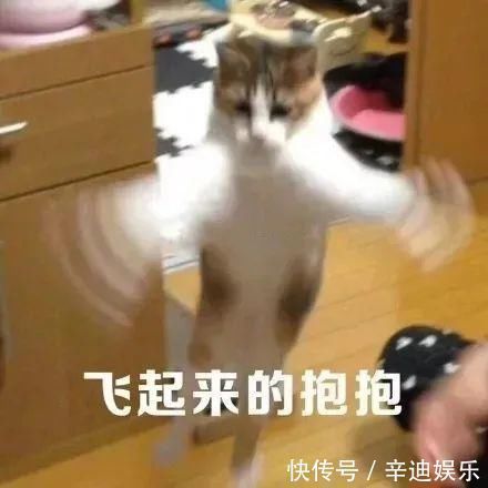 分手|“男友因女友像鲶鱼要分手！”某宝的评价笑到窒息…哈哈哈哈