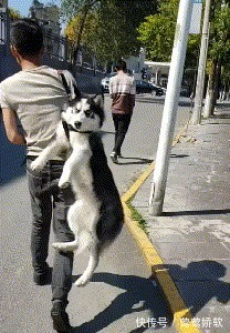 |搞笑GFI:这一看就是小情侣,要是老夫老妻的,男子早就怒了