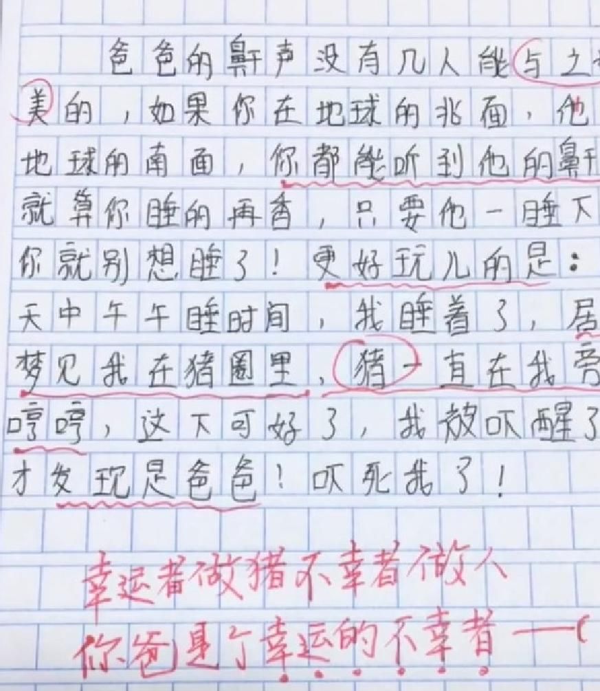 小学生“满分”作文，致我们逝去的美好时光