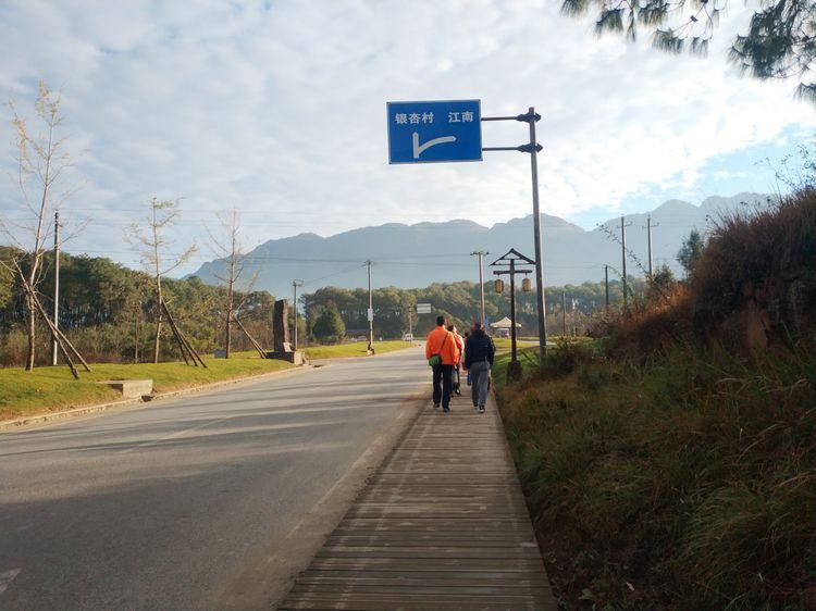 江东村|高黎贡山行之四：随走腾冲银杏村，惊艳，惬意