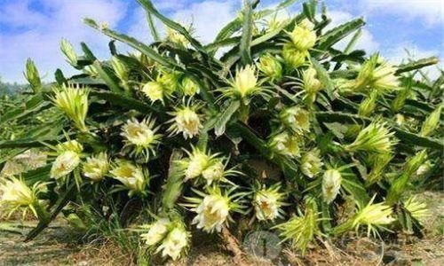 满脸皱纹|女性不想满脸皱纹,可以多吃3种食物,营养丰富,滋润肌肤!