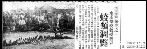 龙眼睛#种种迹象表明,中国传说中的龙可能真的存在,日本就有龙的标本
