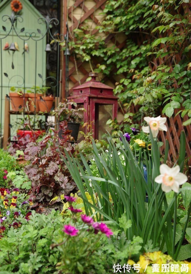 花园|荒废多年的80㎡小院,2年半时间打造成下沉式花园,太漂亮了!