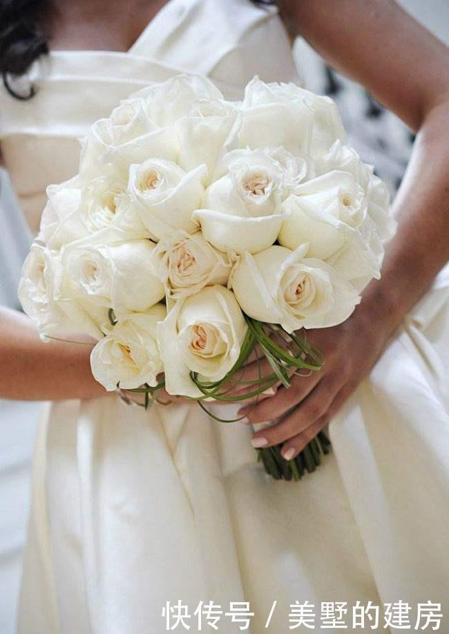 马蹄莲|4种花是婚礼常见花,随便选一种都好看,开了浪漫又唯美