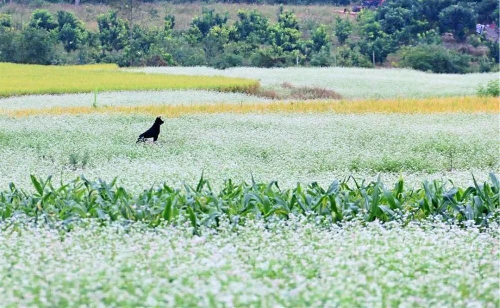 想去|中国冬天最勾魂的10个地方，总有一个你想去的！