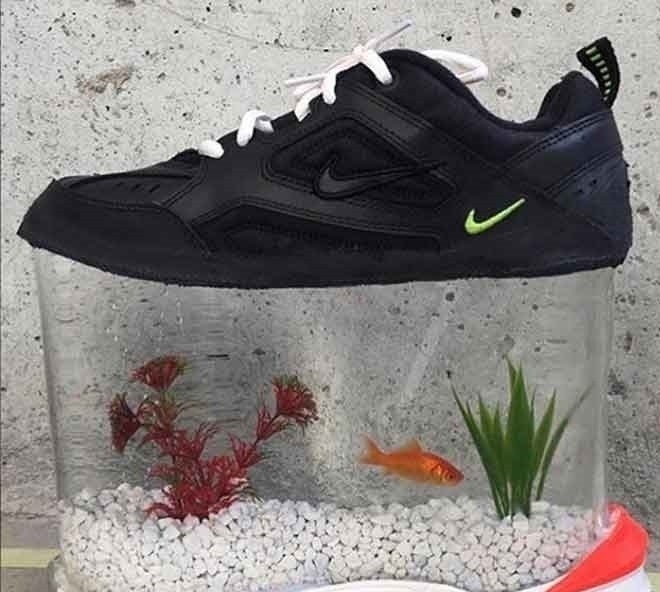 gai 令人瞠目的怪鞋子:仿效骆驼趾,把金鱼缸穿在脚下