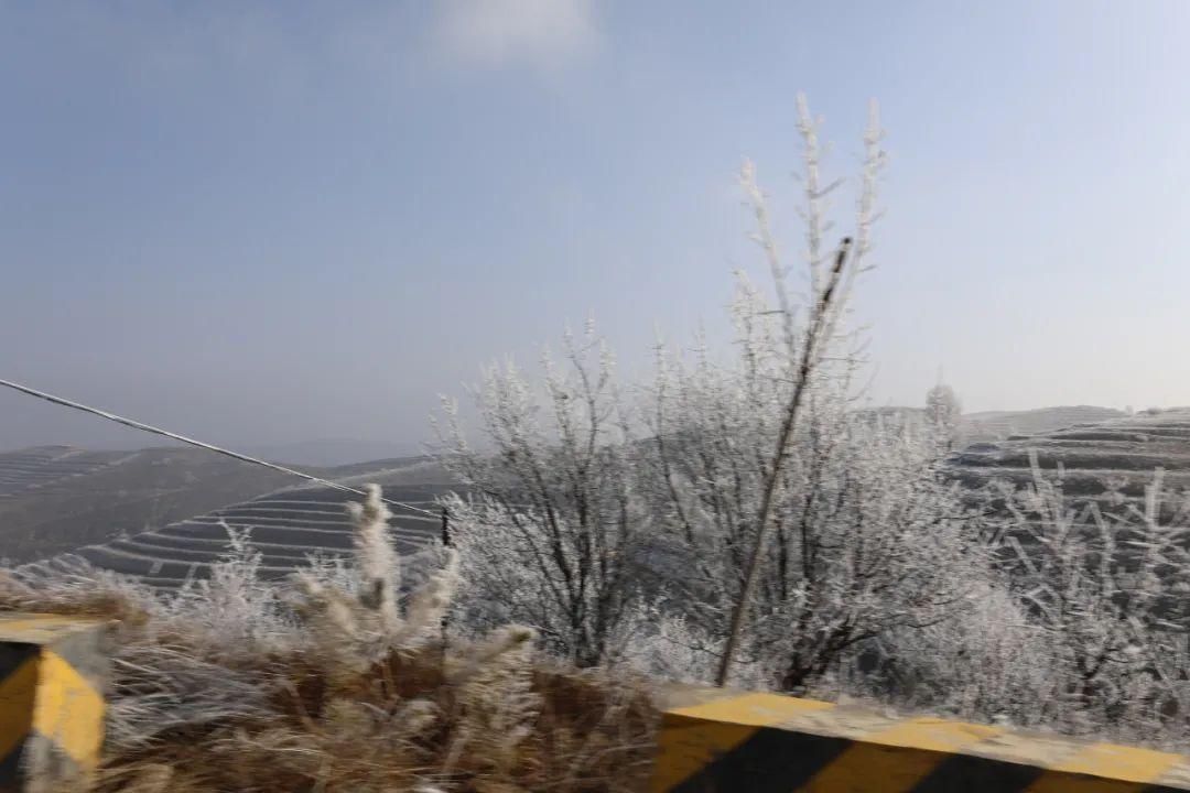 山湾|会宁：最好的风景在山湾里