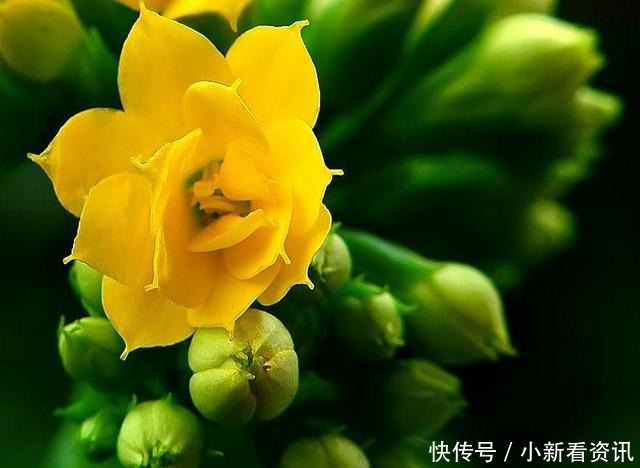 老祖宗|“命自我立,福自我求”记住老祖宗的这几句忠告,福报不请自来