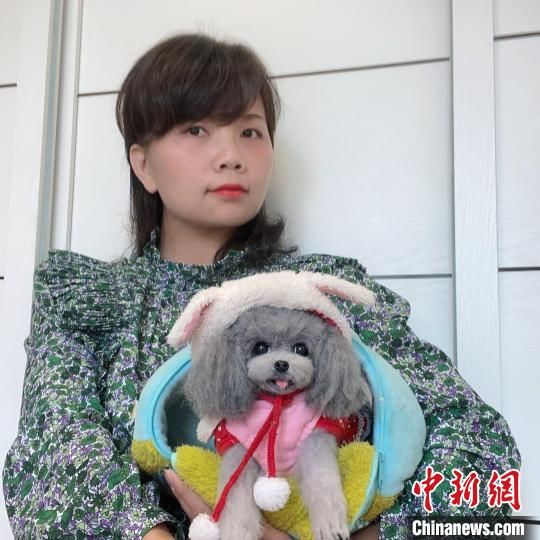 羊毛毡|通讯：四川手工艺人用羊毛“复活”宠爱、带去温暖