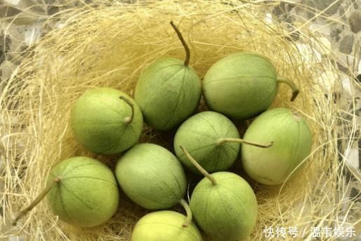 它是酒精的“天敌”,现在农村遍地都是,还不懂的话就太可惜了