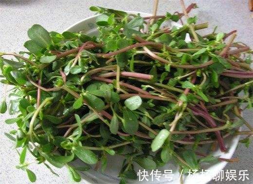 卵巢|女人常吃此物，保养卵巢，子宫越来越健康，远离妇科炎症