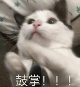  5块钱一大袋，一锅搞定太简单！补钙补气血，吃过的都说好！