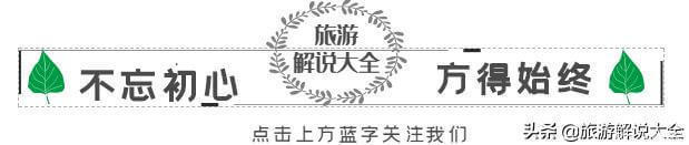 酒杯|看了俄罗斯人的下酒菜,东北爷们默默放下酒杯你们赢了