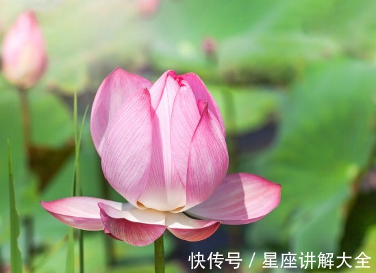 好运|步入9月上旬，吉星伴身，4属相桃花朵朵，幸福来敲门，欢乐相随