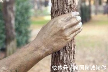 第一眼看&这只大树之手,紧抓住大树几十年不放,有点意义
