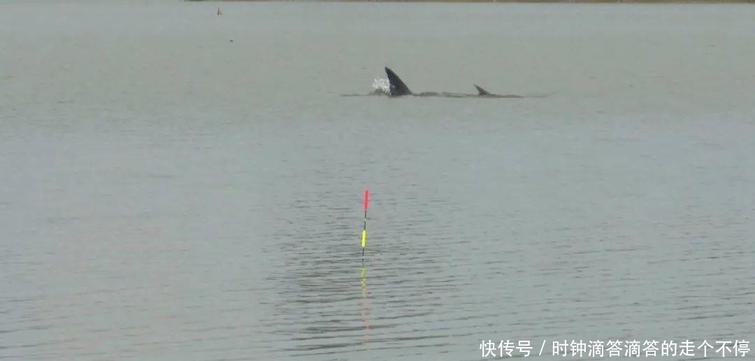 勤练这4种扬竿方法,再也会不断线跑鱼!