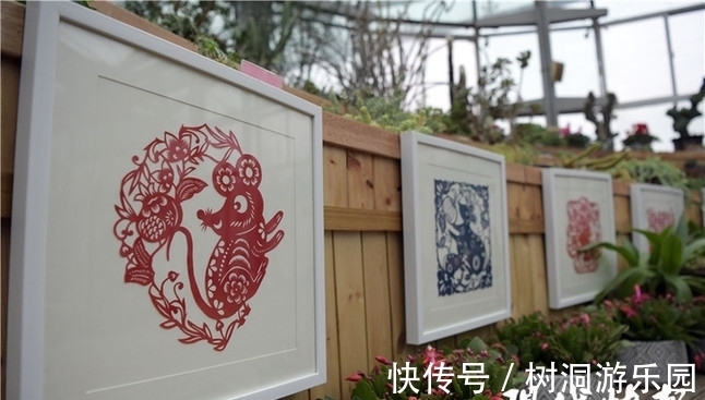 植物|新春去南京中山植物园看精灵“鼠”世界