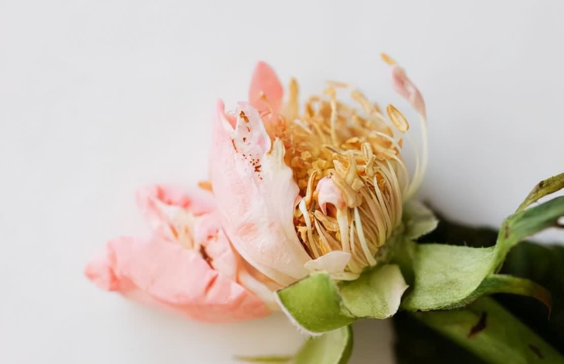 格局$有人不喜欢你,别生气,记住莫言的两句话,既解气又有格局