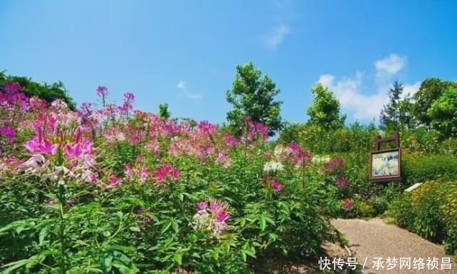 一份私藏交通攻略!京都游不可错过的景点!附上路线指南