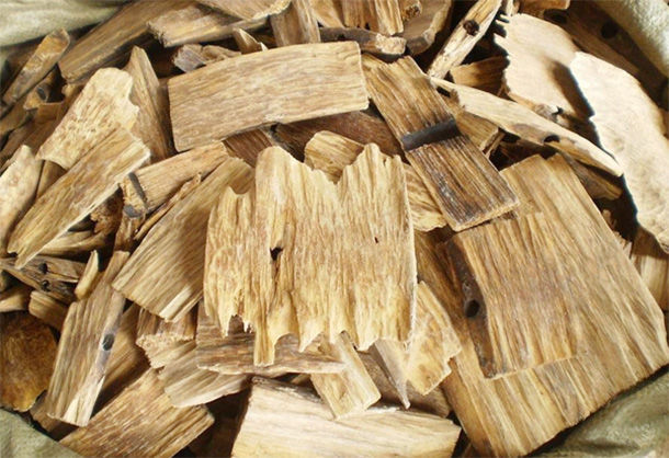 闻香也可“治病”？3味花中药材，活血开窍，通达经络，助长寿
