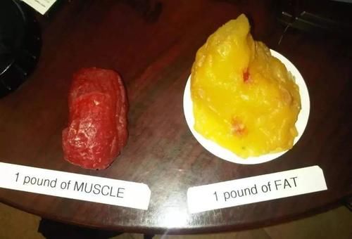 微胖|微胖的人更长寿？怎样才是微胖？我应该继续减肥吗？一文全读懂