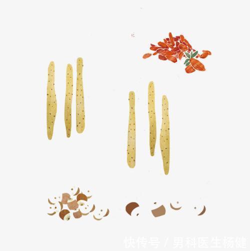 普及|男科医生杨健普及:肾虚有哪些症状、如何区分肾虚种类