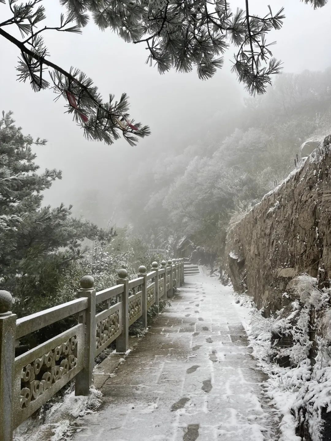 景区|入秋后，河南第一场雪来了！