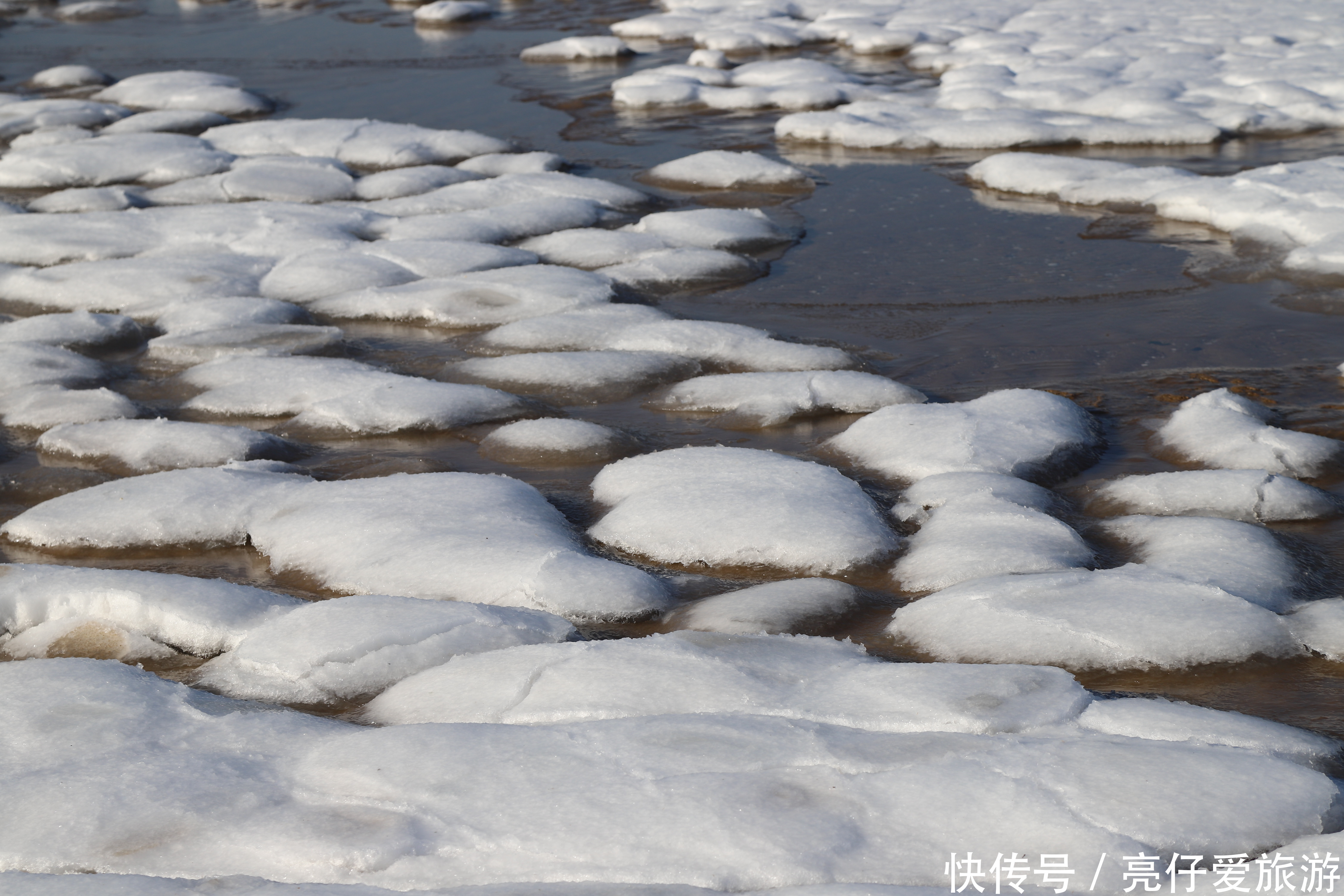 一场冰雪把青西新区变成了童话世界，壮美不言，别有韵味别具风情