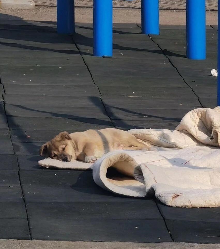 |大学生“晒被子”花样百出,一个比一个搞笑,网友浮想联翩呐