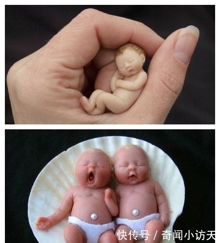 世上最小“婴儿”,5个能同时放在一只手上!是新生父母的最爱!