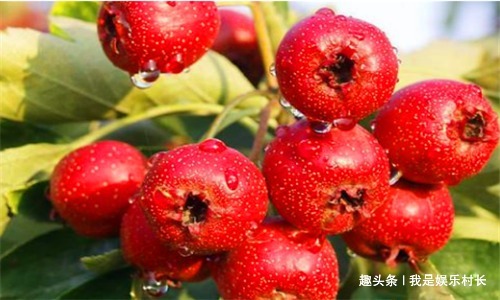 长寿|人到中年想长寿,不妨多吃4种食物,排出毒素,净化血液