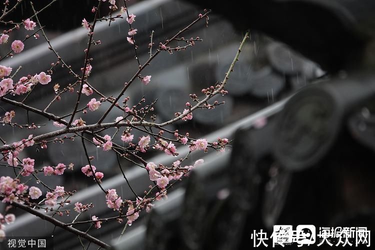 余寒|诗话雨水丨好雨知时节，当春乃发生