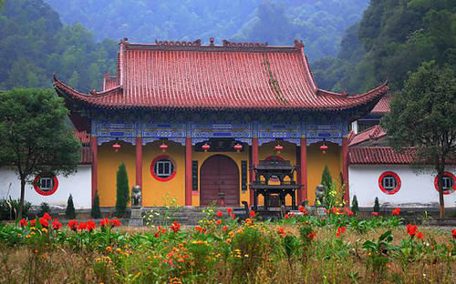 武陵|江西武陵岩山高林密，石怪洞幽、原始古朴，带你去看最美的风景