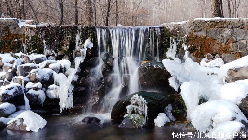 迎客|美！玉渡山换装成冰雪森林，12月中旬首届雪雕节迎客